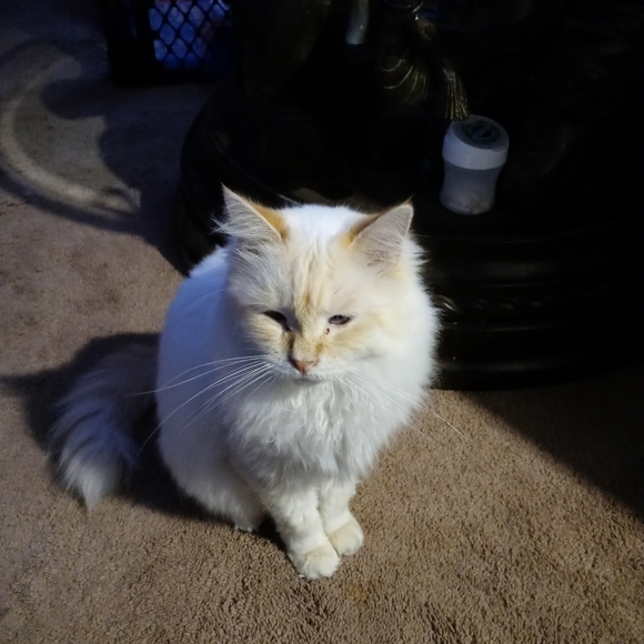 Meet your Poshers, Michael ๐ค And Dawn๐ - Picture 11 of 16